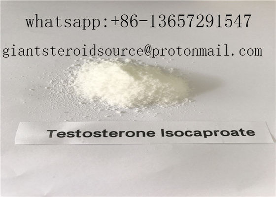 Long Ester Isocaproate Testosterone Raw Powder Weight / Strength Gains