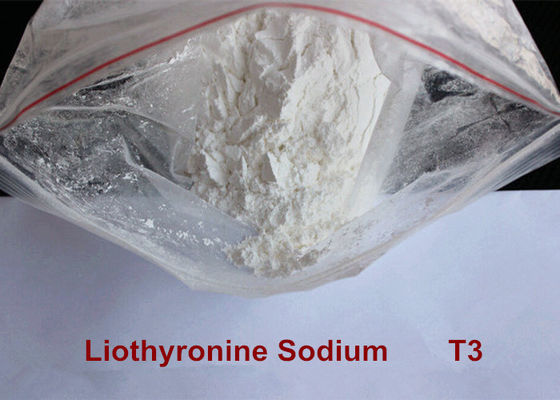 Διάπλαση που ενισχύει τη φαρμακευτική ενεργό συστατικών Liothyronine σκόνη απώλειας νατρίου T3 παχιά