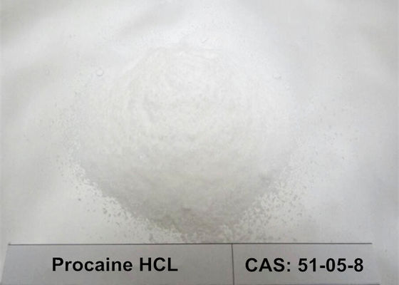 BP2005 99,87% υψηλή σκόνη αναισθητικού δοκιμής τοπική, Procaine σκόνη HCL υδροχλωριδίου