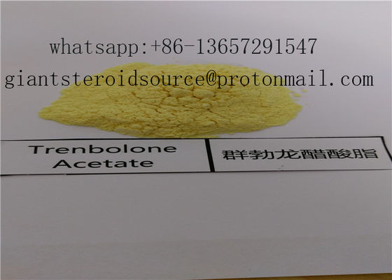 99.02% αναβολική στεροειδής Trenbolone σκόνη οξικού άλατος USP31 ανοικτό κίτρινο/σκοτεινό κίτρινο CAS 10161-34-9