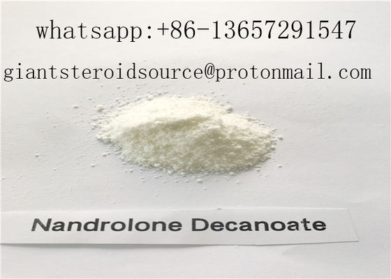 Άσπρη ακατέργαστη σκόνη αναβολικό Mestanolone Nandrolone Decanoate για το κτήριο μυών